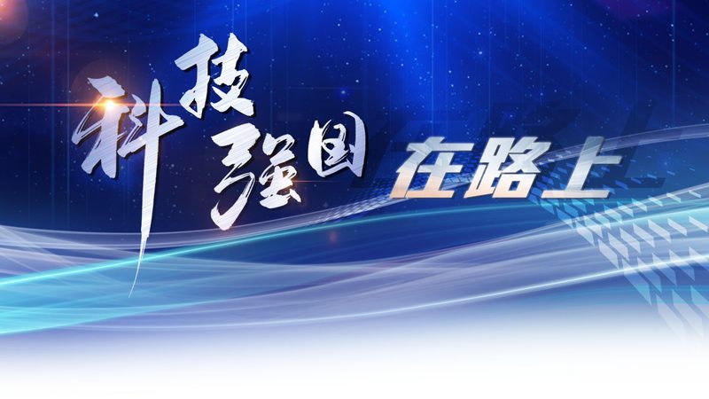 智能客服配置之道：揭秘参数背后的行业智慧**