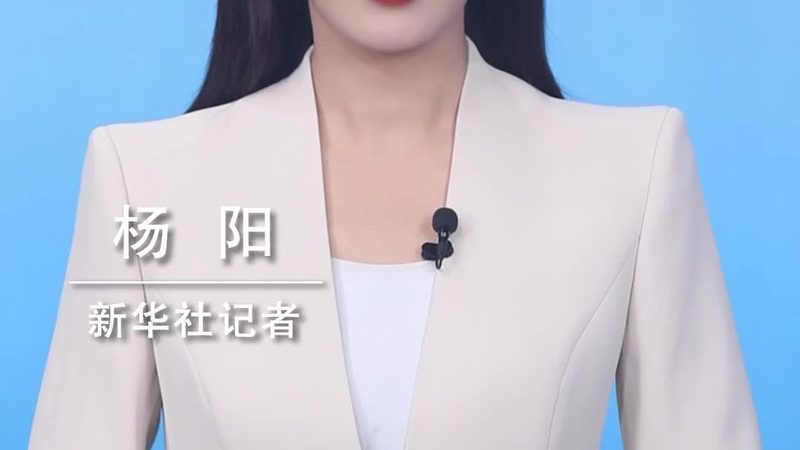OA协同办公定制开发：企业效率提升的关键路径